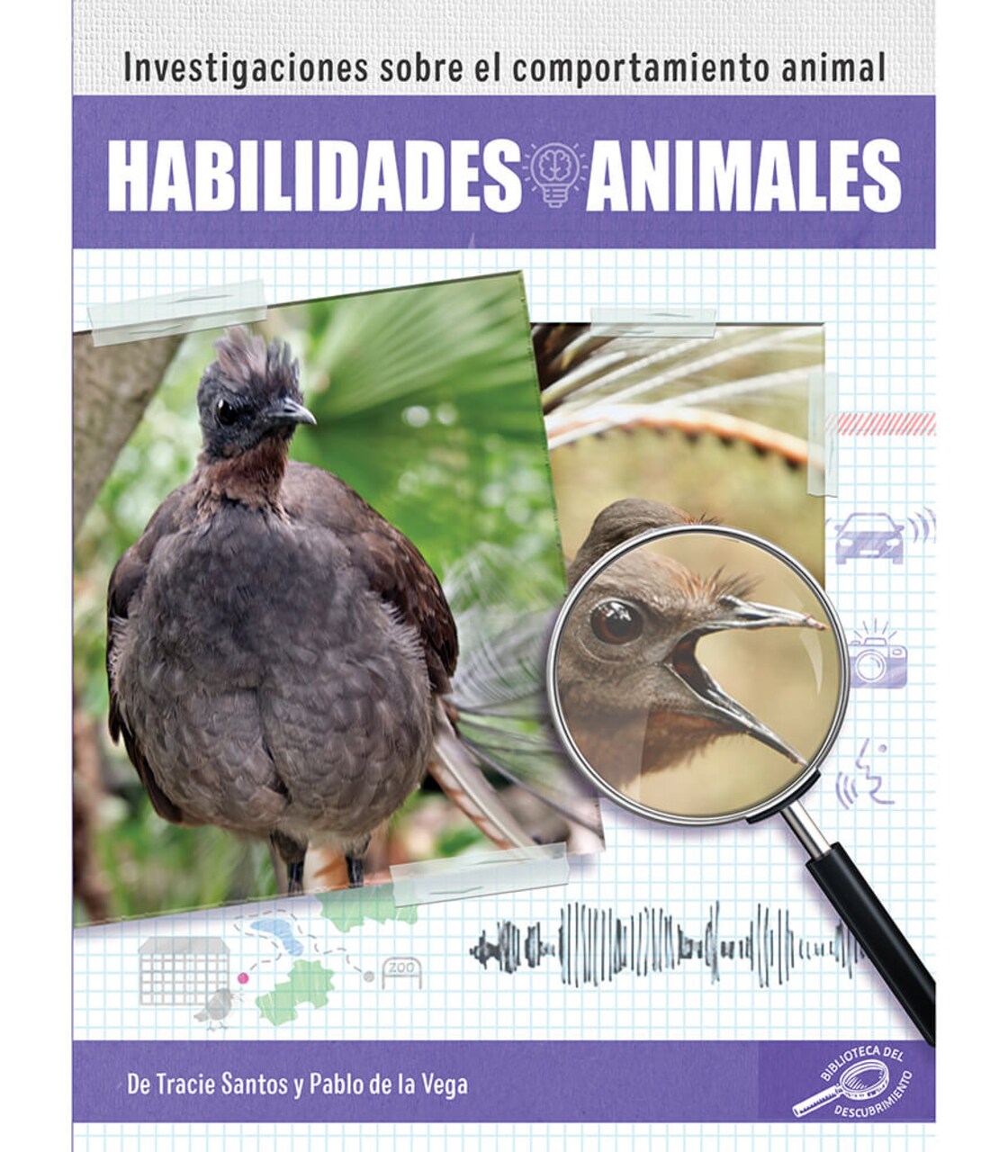Rourke Educational Media Habilidades animales (Animal Abilities), Guided Reading Level M Reader